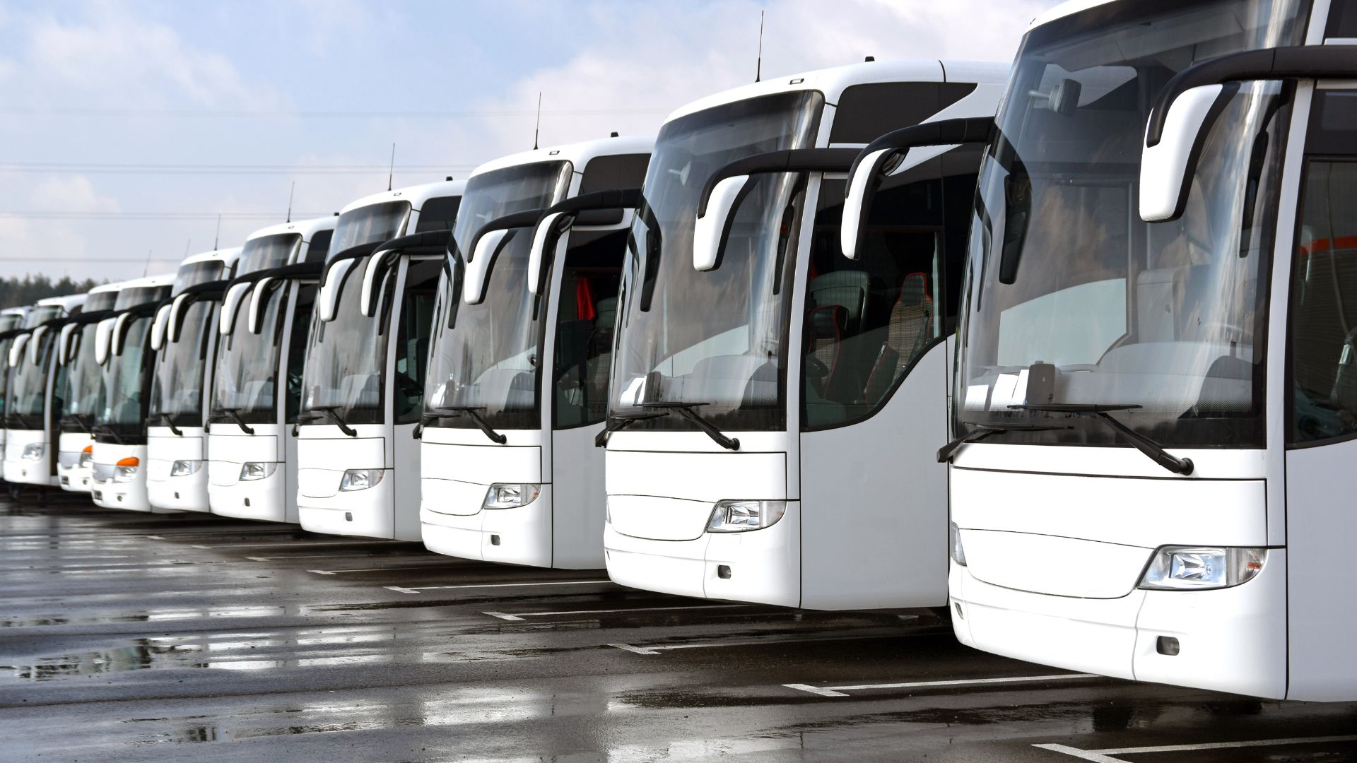 Insights | Coach Hire Operations Intelligence