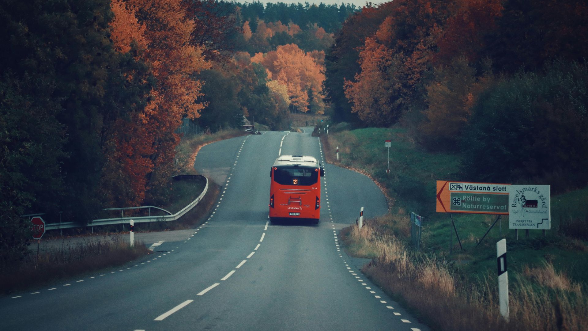 Insights | Coach Hire Operations Intelligence