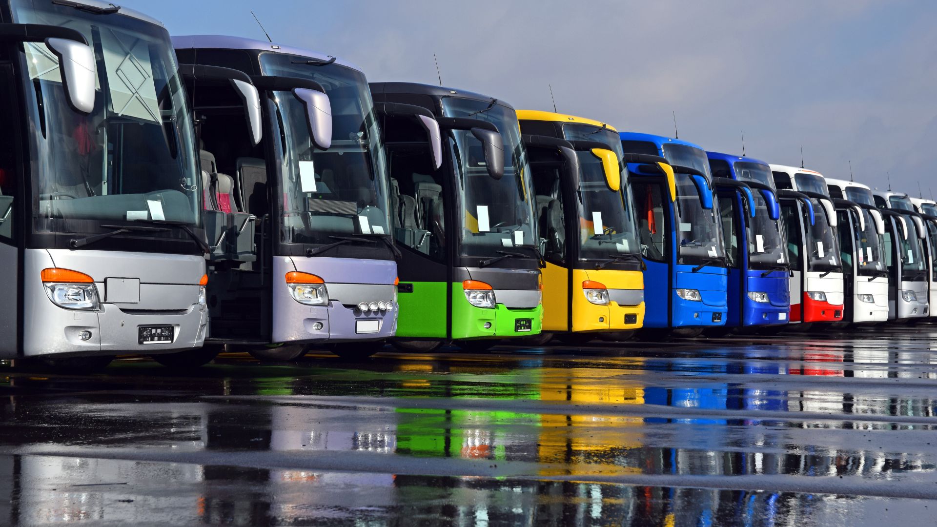 Insights | Coach Hire Operations Intelligence